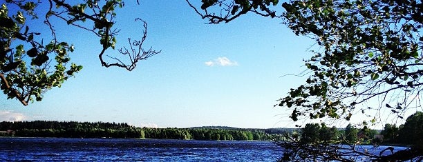 Борисовское озеро is one of Orte, die Tatiana gefallen.