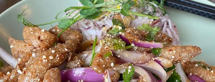 Thai Vegan Kitchen is one of Lugares favoritos de mikko.