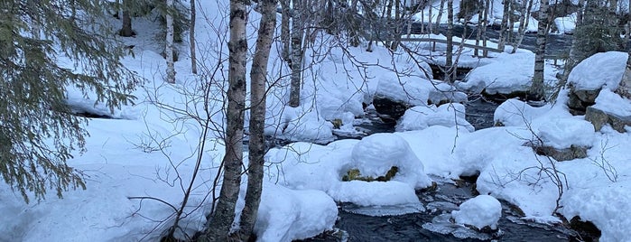 Käylänkoski is one of สถานที่ที่ Diana ถูกใจ.