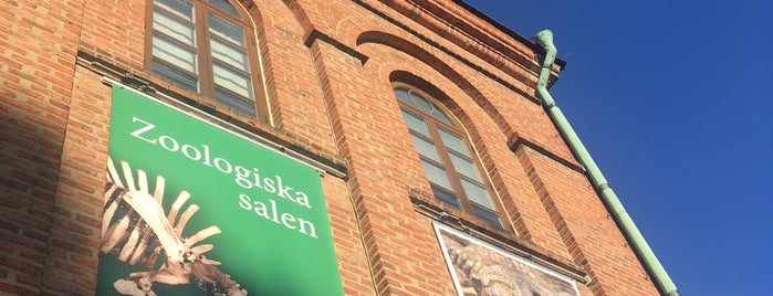 Historiska museet is one of สถานที่ที่ Melike ถูกใจ.