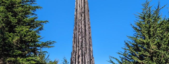 Goldsworthy Spire is one of san francisco.