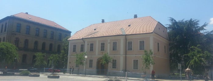 Galerija Milan Konjović is one of สถานที่ที่ Senja ถูกใจ.