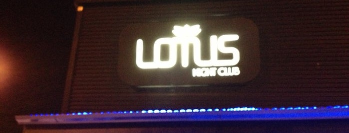 Lotus is one of lugares en Rosario.