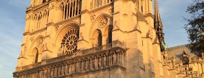 Notre Dame Katedrali is one of Paris 2014.