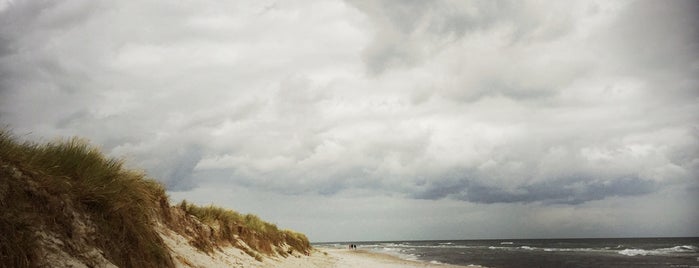 Sandhammaren is one of Skåne.