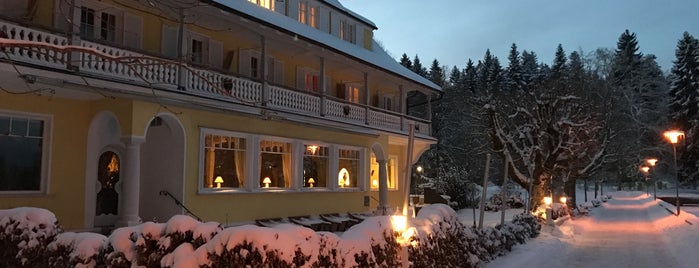 Hotel Waldsee is one of Lieux qui ont plu à Maik.