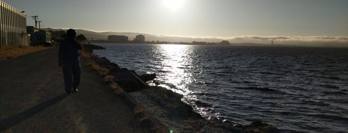 Burlingame Bay Path is one of Johnさんのお気に入りスポット.