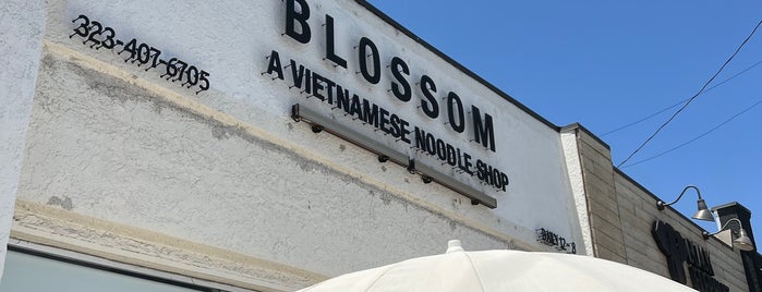 Blossom is one of Lugares favoritos de Tantek.