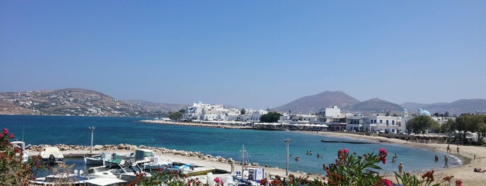 Dryos is one of My Paros.