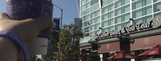 The Coffee Bean & Tea Leaf is one of la.