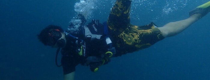Eco Divers is one of Yonderingさんのお気に入りスポット.