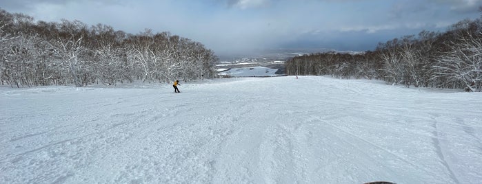函館七飯スノーパーク is one of スキー場(北海道).