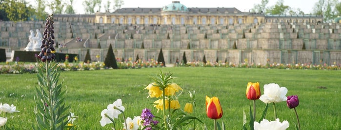 Schloss Sanssouci is one of Lieux qui ont plu à Mahmut Enes.