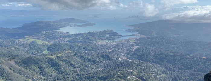 Mt Tamalpais Fire Lookout is one of Ryanさんのお気に入りスポット.