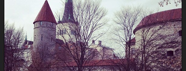 Paks Margareeta is one of Tallinn.