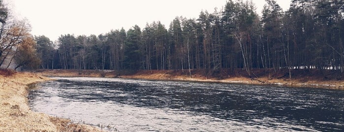 Karmazinų pažintinis pėsčiųjų takas is one of Tempat yang Disukai Rasa.