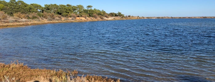Parque Natural Da Ria Formosa is one of Algarve.