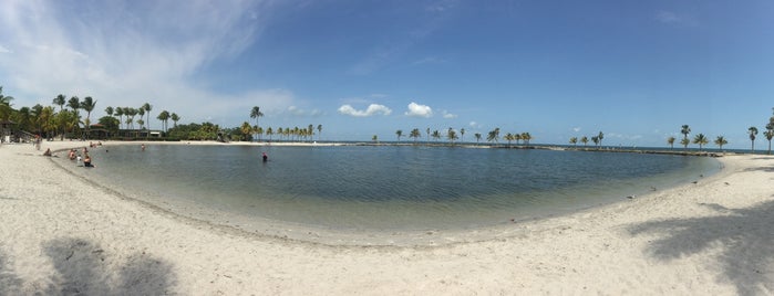 Matheson Hammock Park is one of Alejandraさんのお気に入りスポット.