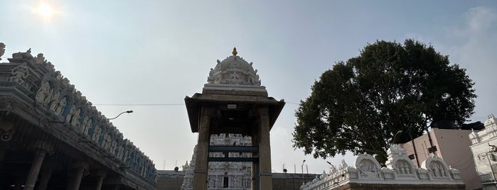 Govindraja Swamy Temple is one of Visited places.