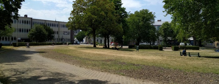 Baudelohof (Baudelopark) is one of Mijn plekjes in Gent 👌.