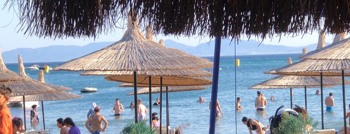 Muzo Beach Club is one of Ayvalık (Mant Kırtasiye Üretimi NWM Adisyon Fişi).