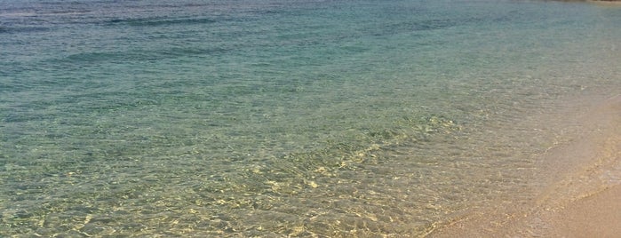 Swim and See in Mykonos