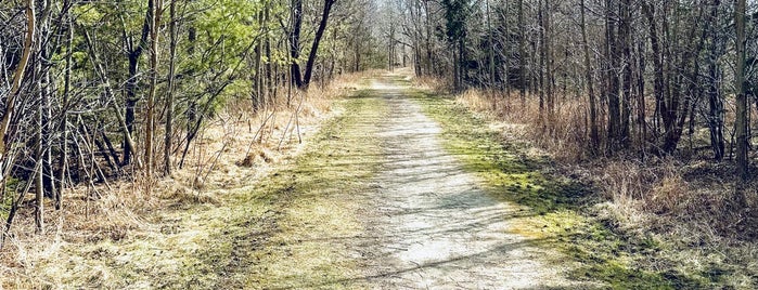 Devil's Punch Bowl is one of Haunted Locations in Hamilton.