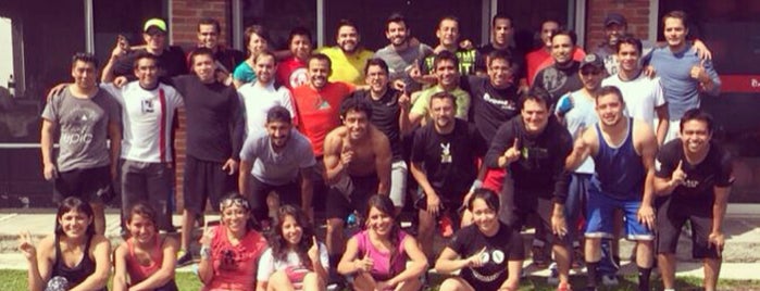 Crossfit 1+ is one of Sweat, baby, Sweat!.