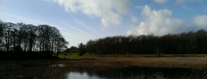 Curragh Chase is one of Mark's list of Ireland.