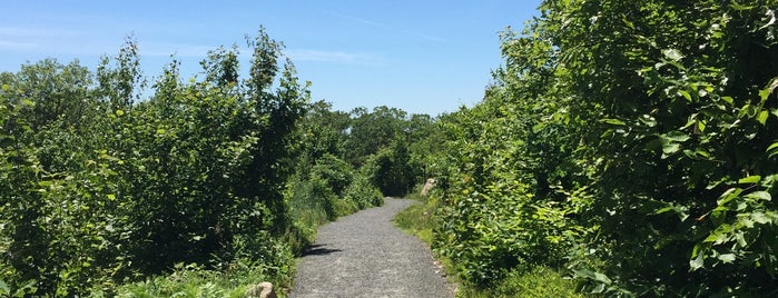 Blueberry Bluff Mt. Agamenticus is one of Kennebunkport ME.