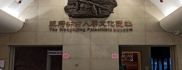 古人类文化遗址博物馆 is one of Museums visited.