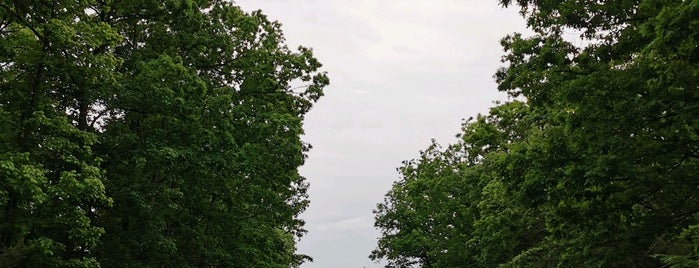 Poplar Tree Park is one of Parks in VA.