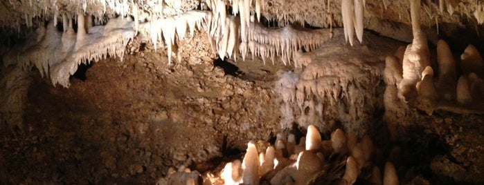 Harrison's Cave is one of Barbados - Must-visit spots for Families.