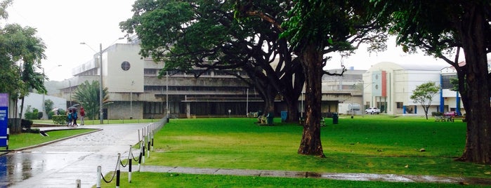 University of the West Indies (UWI) is one of School.