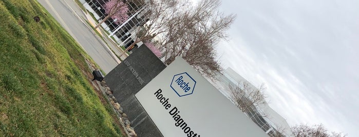 Roche Molecular Systems is one of Roche Locations.