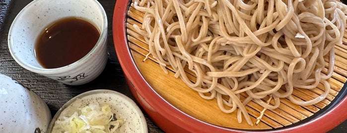 山形の肉そば屋 is one of ﾌｧｯｸ食べログ麺類全般ﾌｧｯｸ.