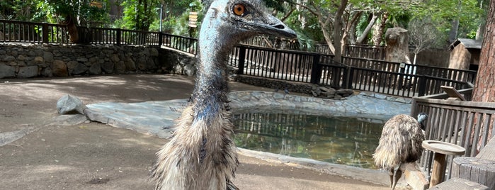 Palmitos Park is one of Gran Canaria.