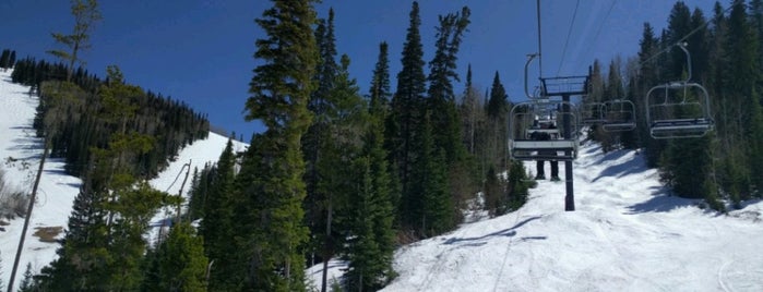 Burgess Creek Chairlift is one of Steamboat Chairlifts.