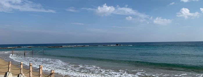Palm Beach Plajı is one of Kıbrıs.
