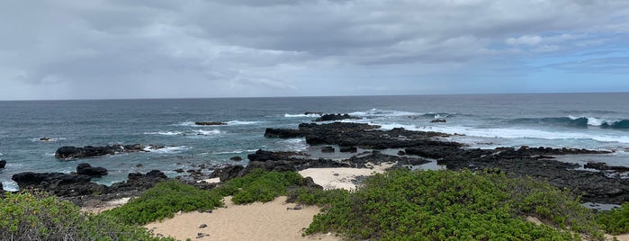 Kaena Point is one of beaches day.