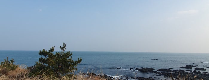 간절곶 is one of 부산.