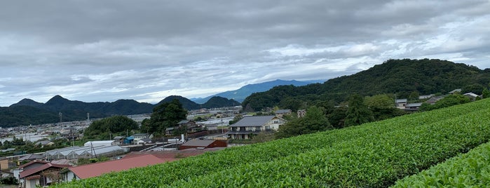 蔵屋鳴沢 is one of lieu.