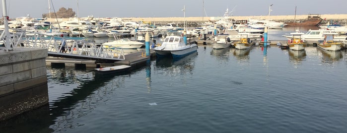 Marina Bander Al Rawdha is one of Muscat.