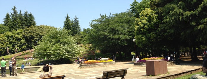 世田谷公園 is one of Tokyo.