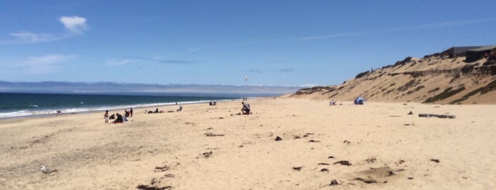 Marina State Beach is one of Locais curtidos por Amanda.