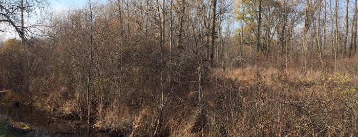 Clarence Bike Path (North Section) is one of Lieux qui ont plu à Leslie.