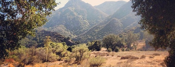 Malibu Creek State Park is one of LA.