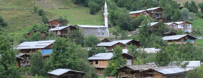 Madenköy (Bazgiret) is one of Doğu Karadeniz.