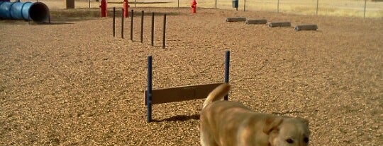 Agave Gulch Dog Park is one of OK.