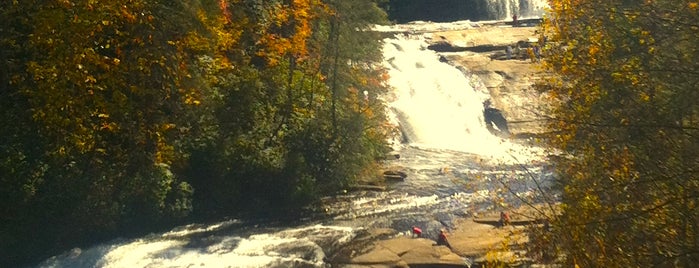 Dupont State Forest is one of 2013 Fall Road Trip.